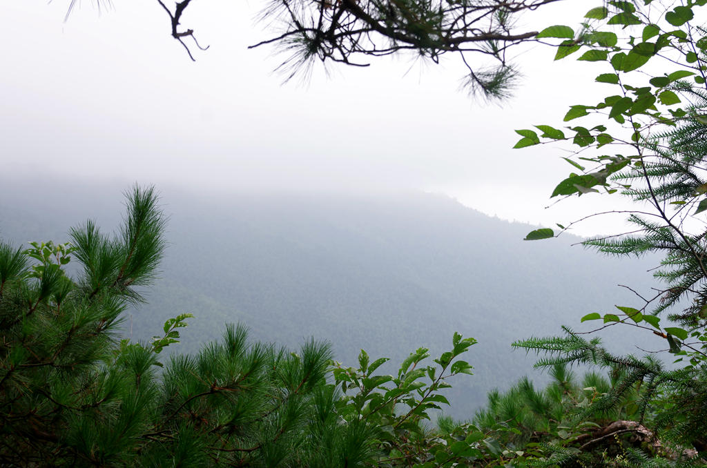 探访大围山 摄影 寒心