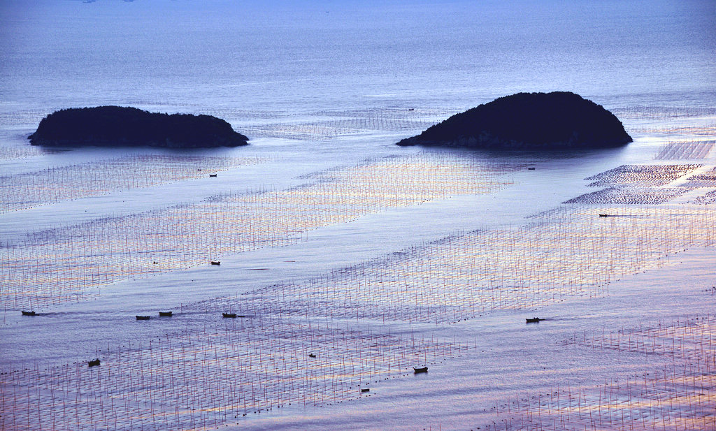 滩涂光色 摄影 千岛湖