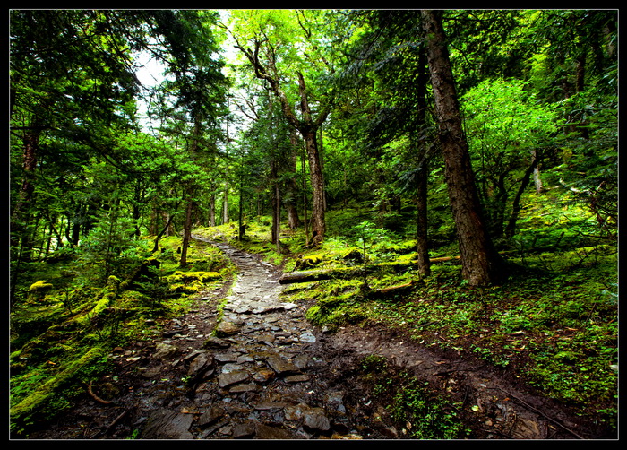 雨崩之路- 摄影 大山里的猫