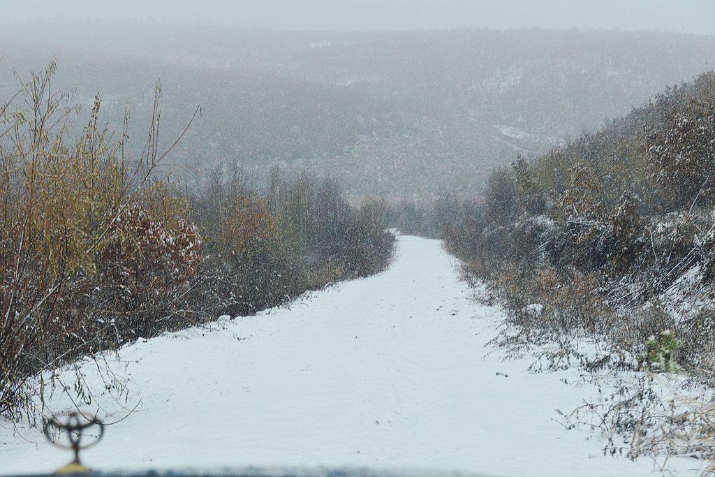 呼玛第一场雪（3）还未有车走过 摄影 老知青刘琪