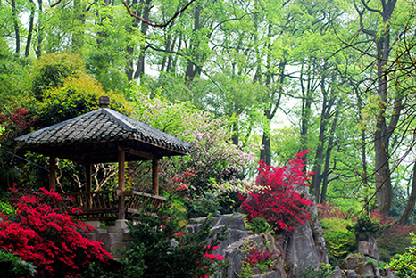 重庆南山植物园 摄影 陈有日