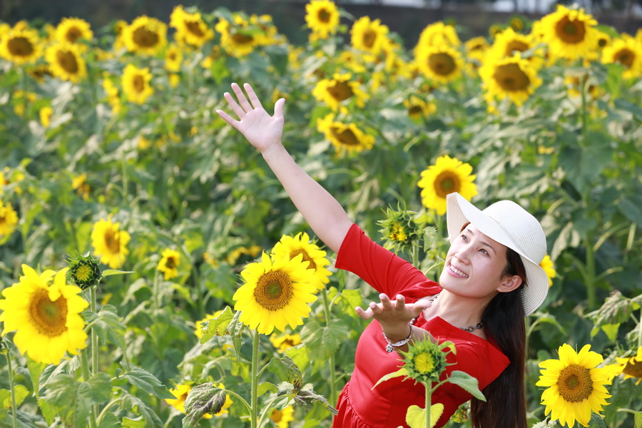 花花 摄影 品味人生9598