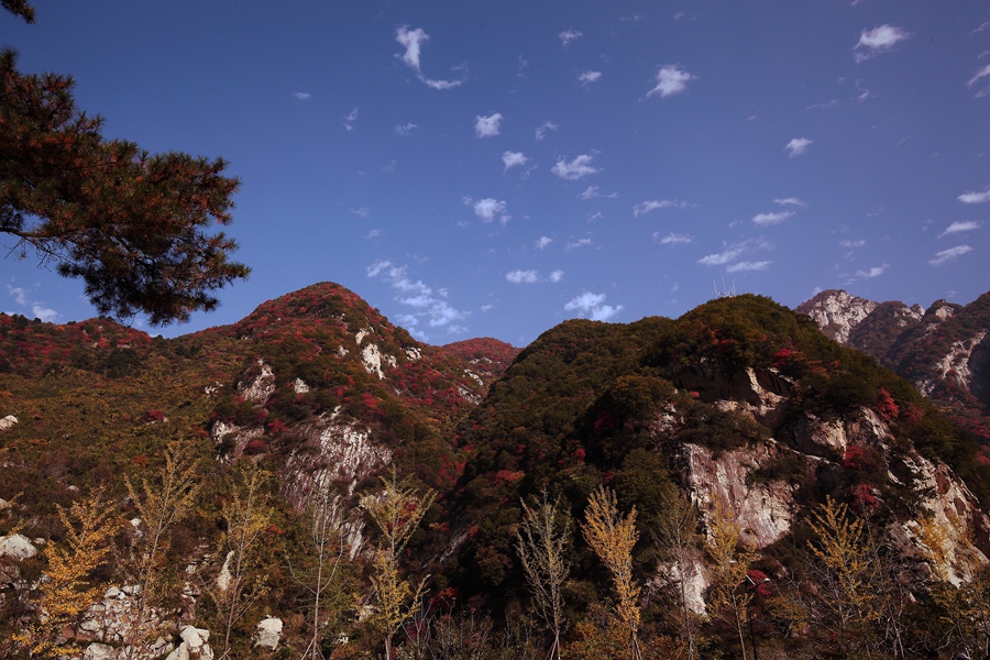 秦岭翠华山秋景 摄影 liyan