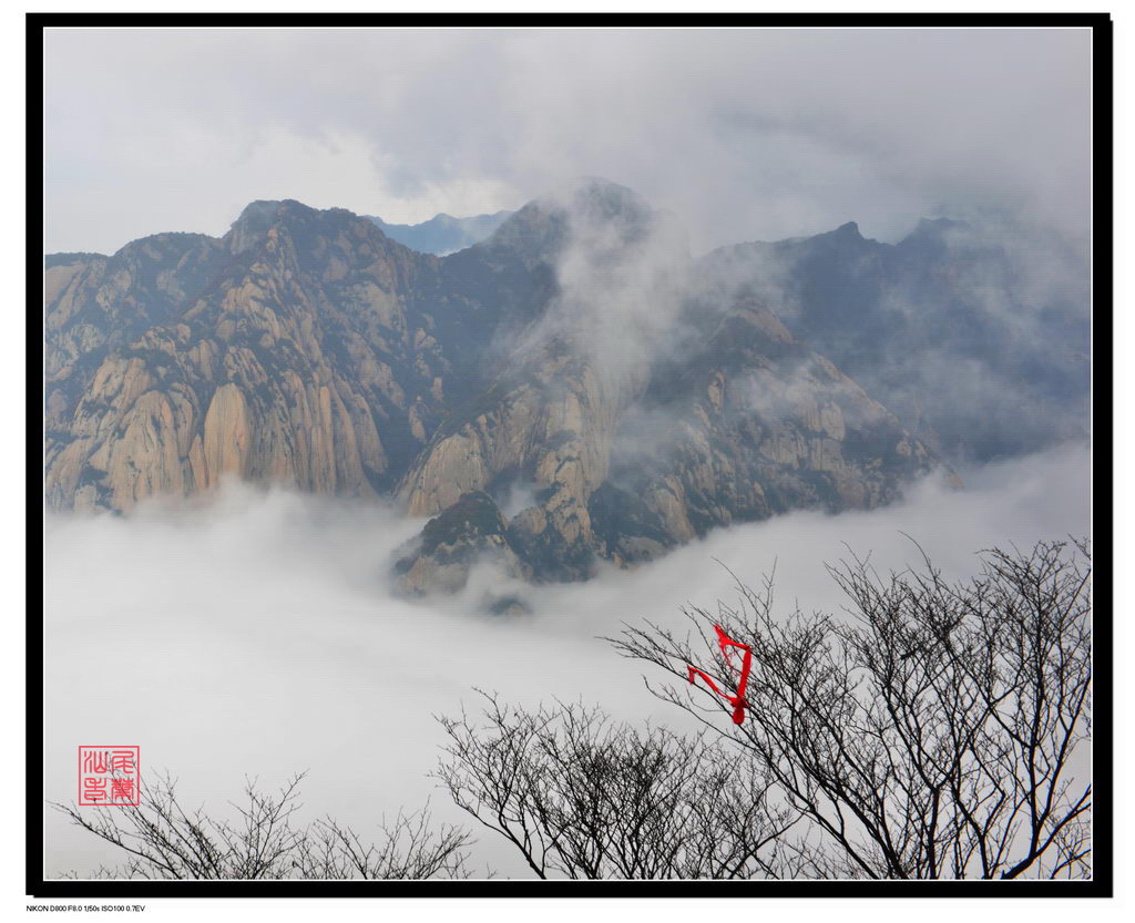 华山风光2 摄影 汕尾老叶