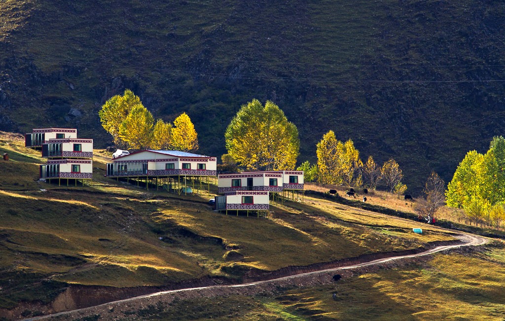 藏寨秋色 摄影 云之山峰