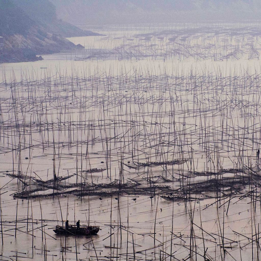 滩涂之上 摄影 jifeng0058