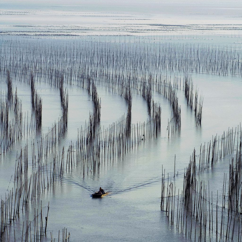 晚归 摄影 jifeng0058