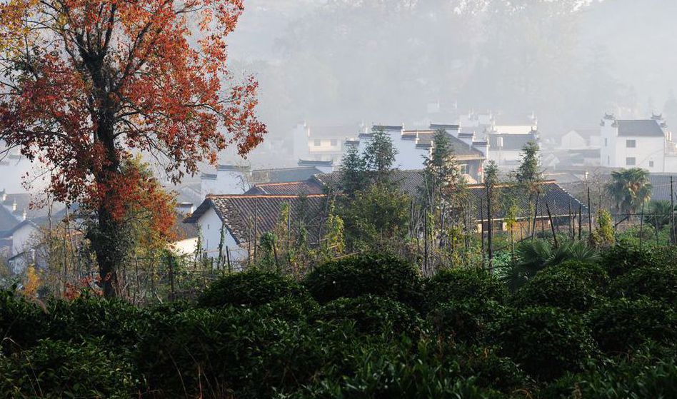 程村 摄影 近山远水