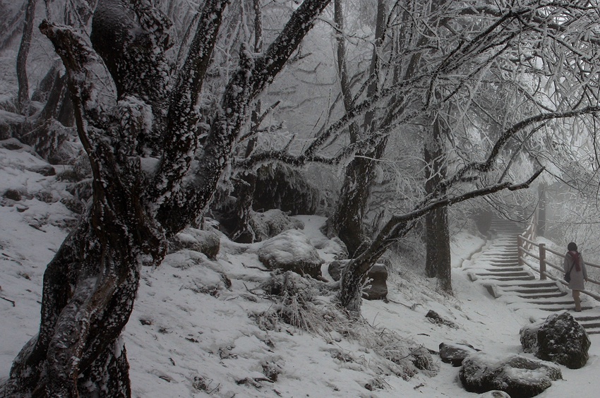 冰雪雷洞坪 摄影 wangshihua