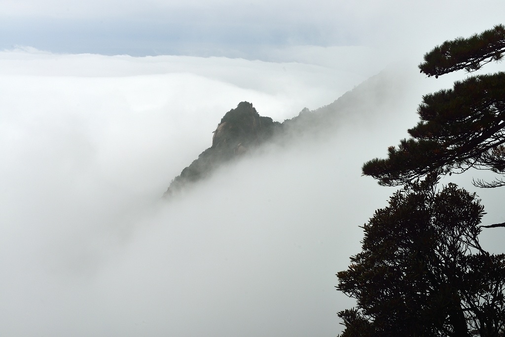 诗情画意三清山 摄影 相逢是歌