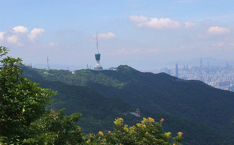 小梧桐山 摄影 静湖明月