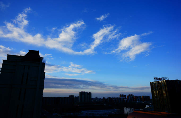 【清晨】 摄影 夕阳之下