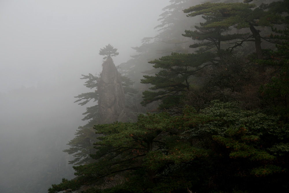 黄山画卷《之八》 摄影 吴聪全