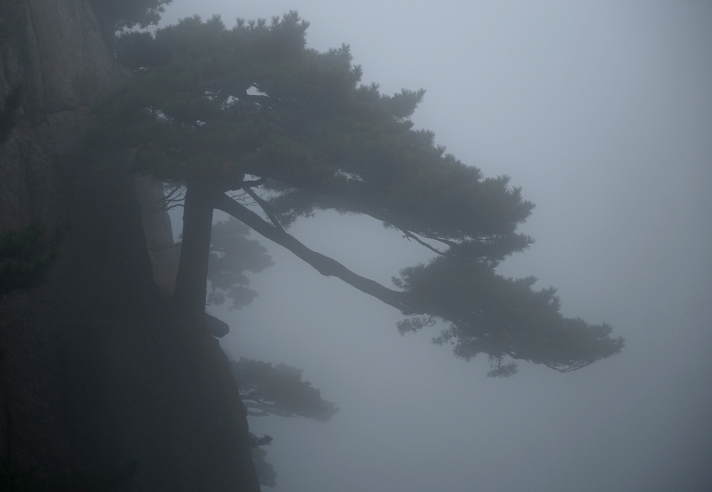 黄山画卷《之十一》 摄影 吴聪全