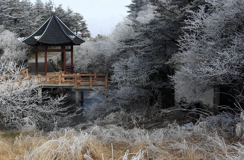 峨眉冬景 摄影 wangshihua