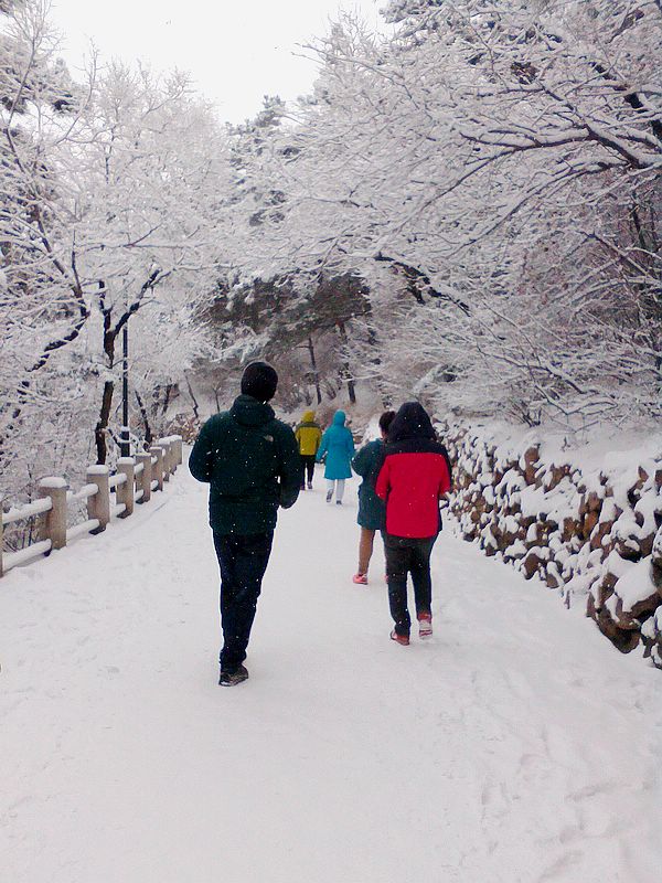 吉林雪景 摄影 深水无澜