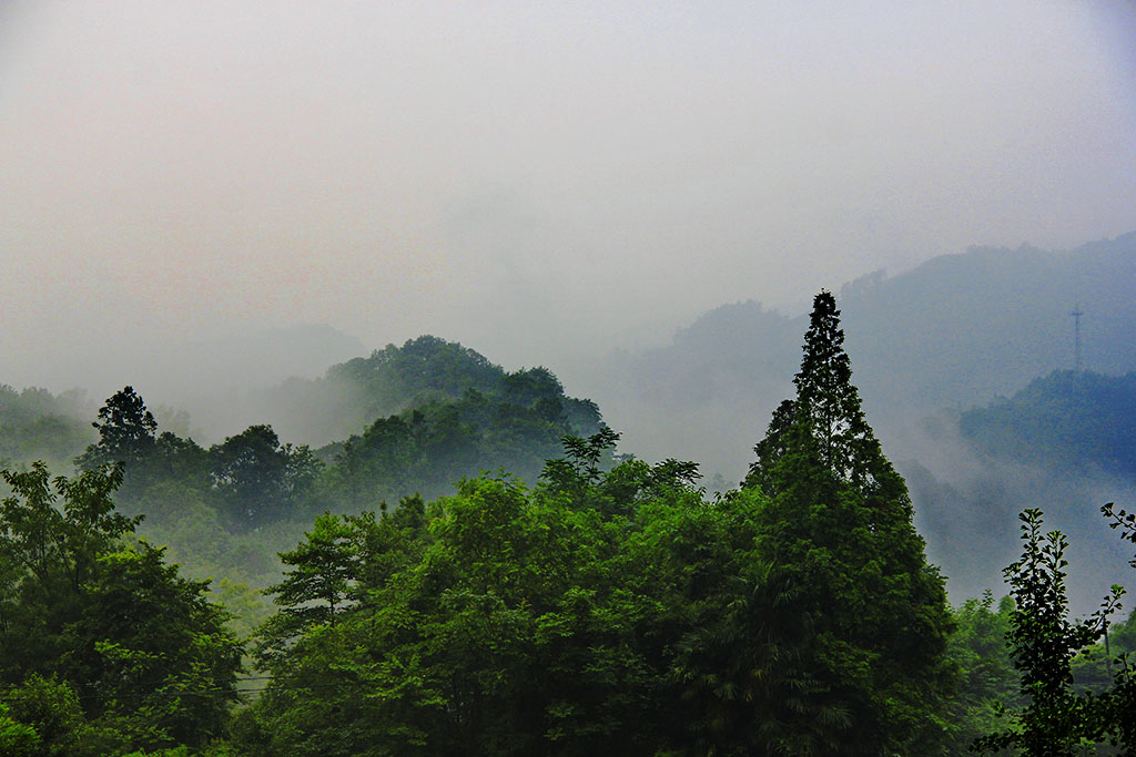 登山途中 摄影 wenyqhhh