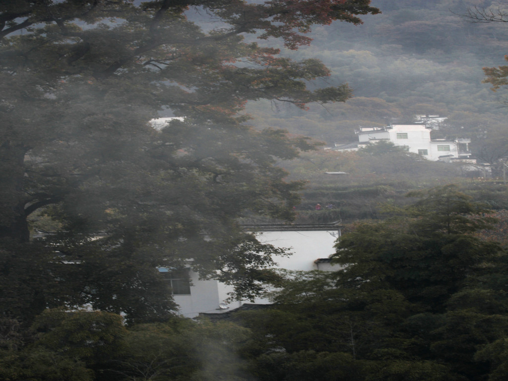 塔川早晨 摄影 山野骏马