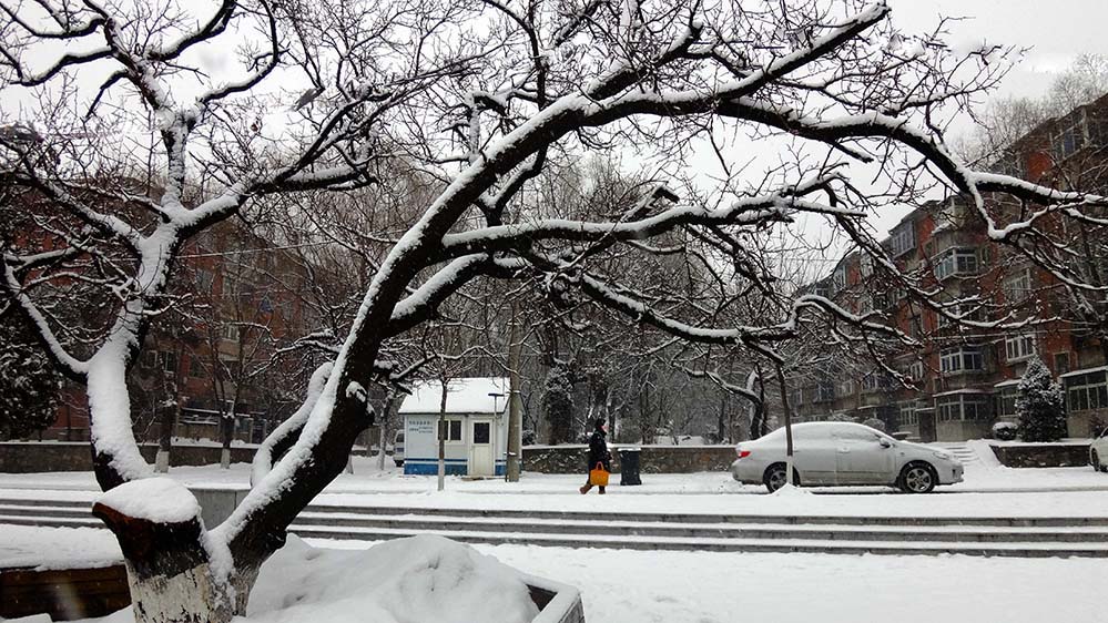 大雪过后 摄影 冰河铁马12