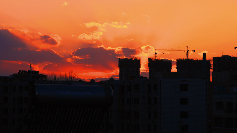 夕阳 摄影 枫叶风