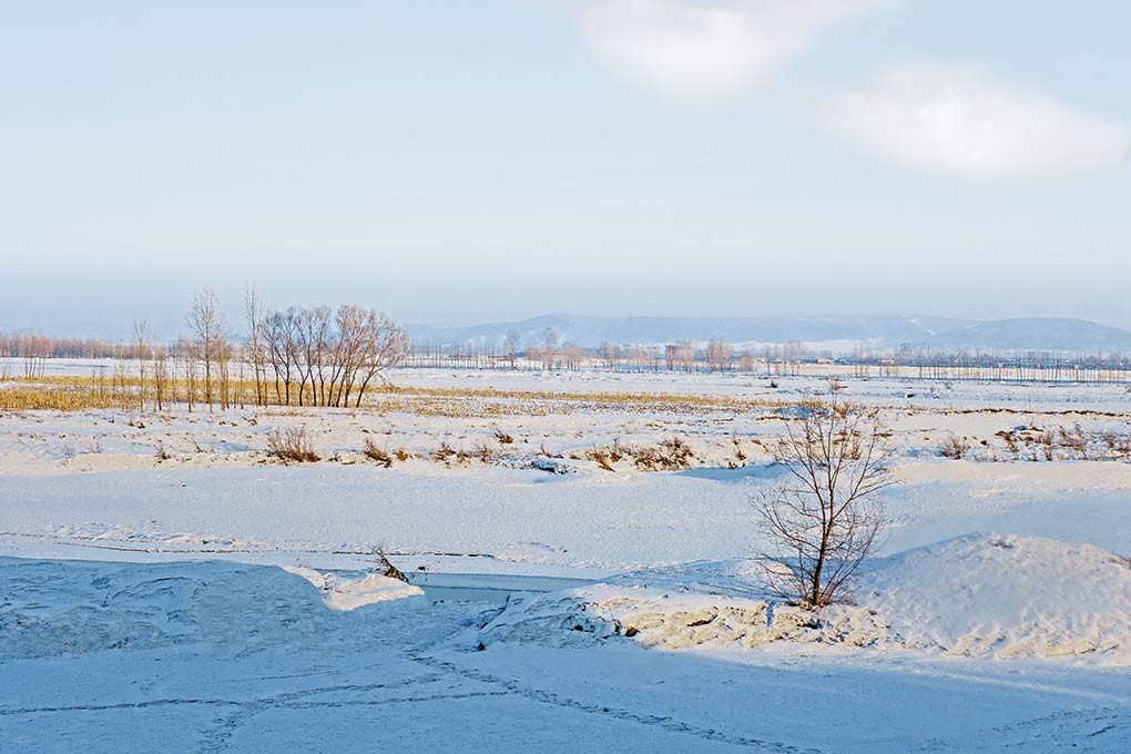 雪愫大地 摄影 宿伟东