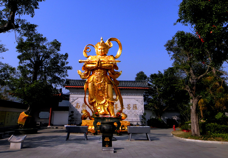 南无韦陀天尊大菩萨像 摄影 夜雨听蕉