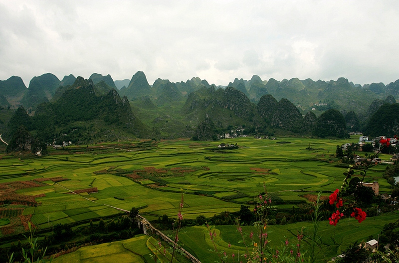 天然盆景万峰林 摄影 wangshihua