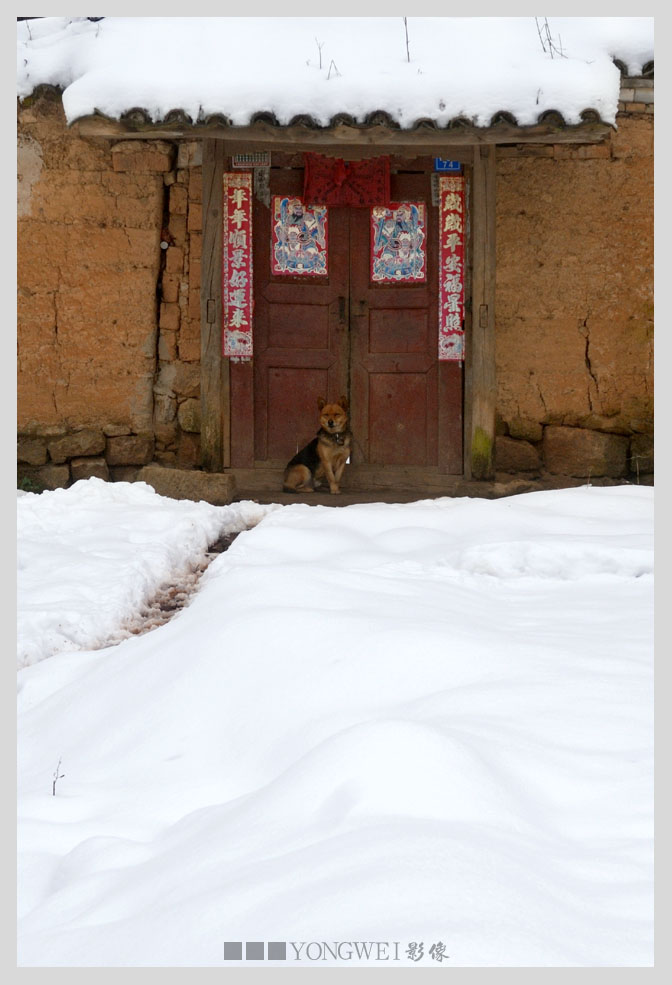 瑞雪 摄影 勇蔚