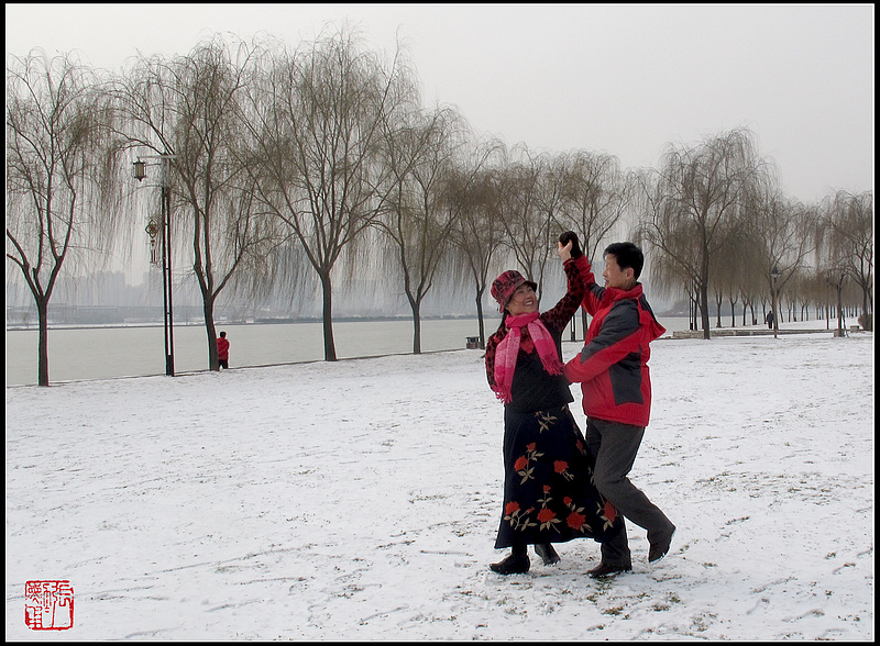 雪‘花’飞舞 摄影 zhangxunyong