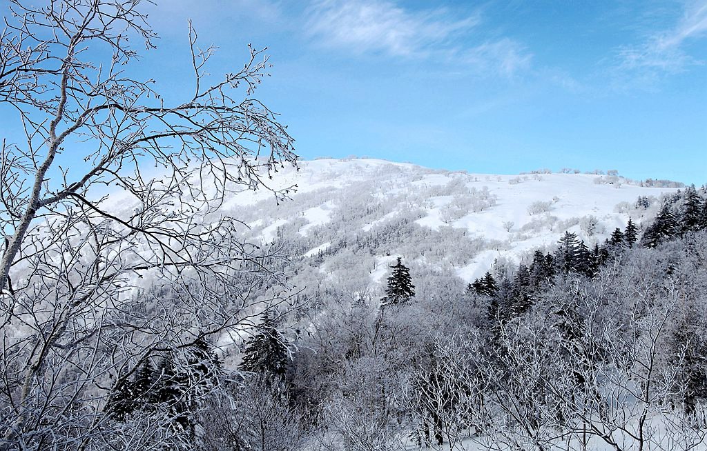 水墨雪乡 摄影 秋水孤鹜