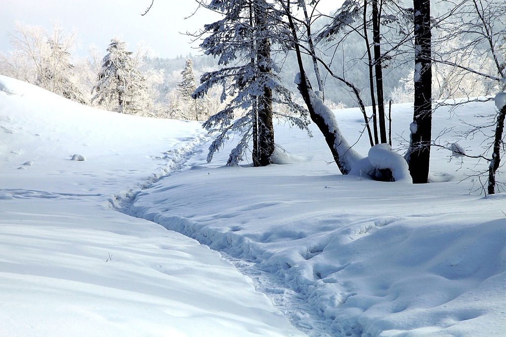 雪野探幽 摄影 秋水孤鹜