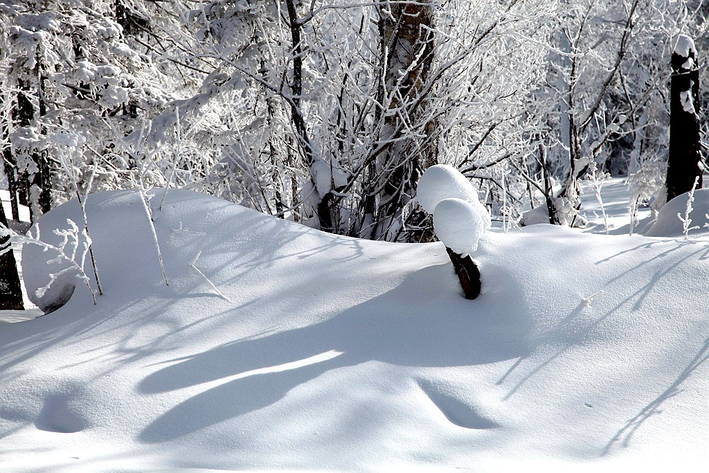 雪乡即景 摄影 秋水孤鹜