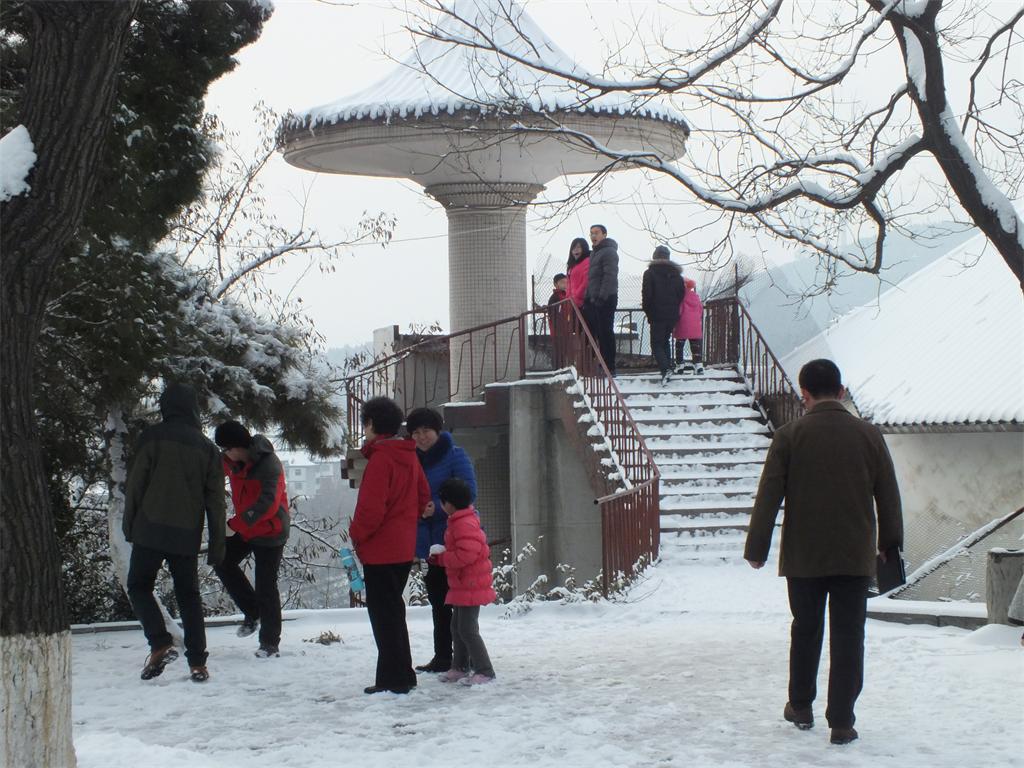 踏雪 摄影 快乐孙老头