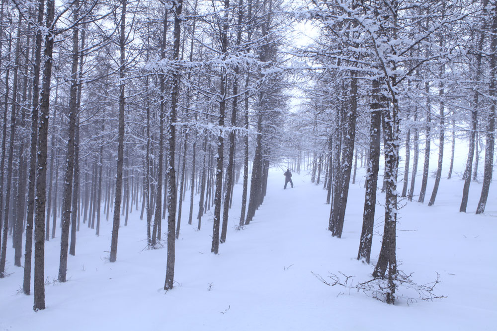 雪域山林 摄影 七月虎