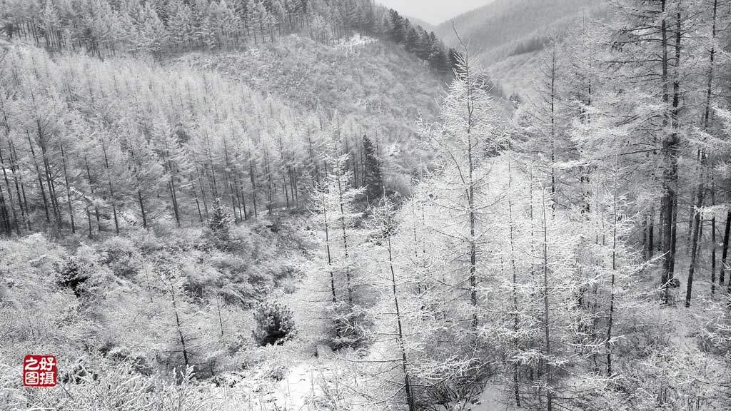 腊月雪 摄影 一路有你