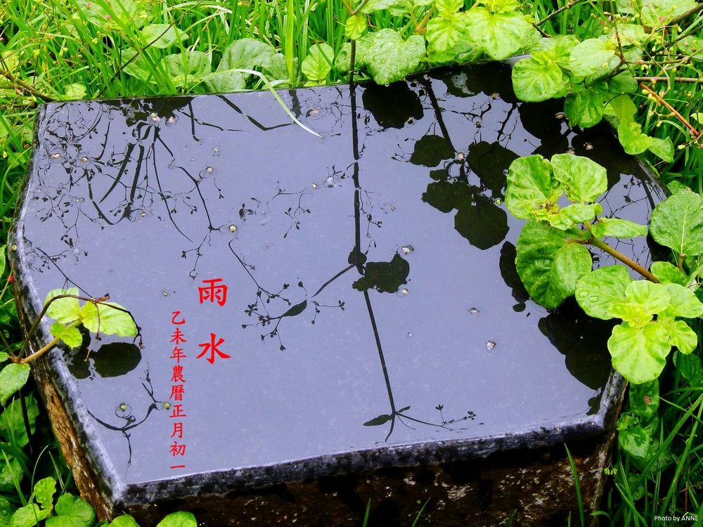 雨水 摄影 yanyan936