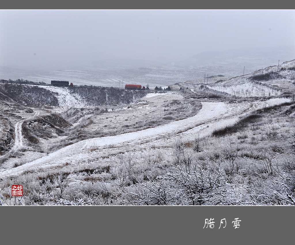 腊月雪 摄影 一路有你