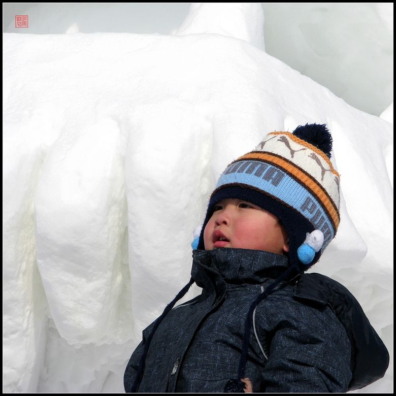 冰雪 摄影 走马观花