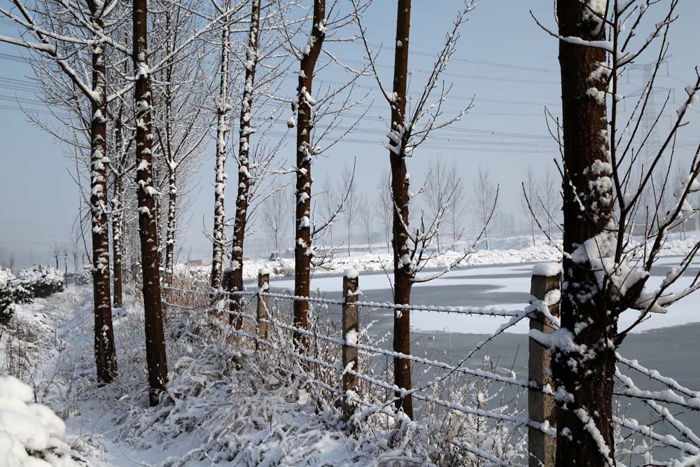 路边雪景 摄影 捕捉瞬间信息