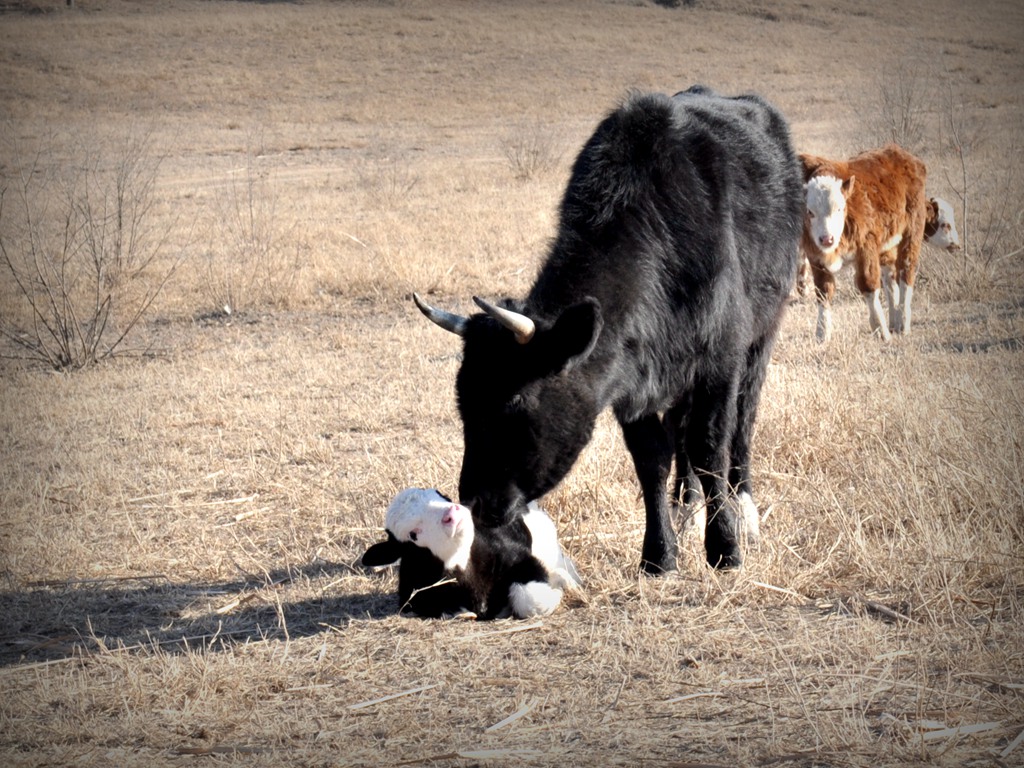 关爱，幸福 摄影 夏至秋实