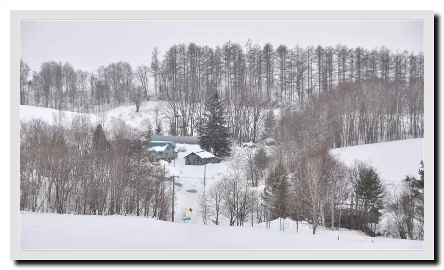 北海道雪景4 摄影 火红