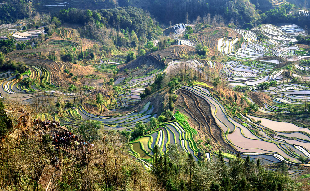 地画家园 摄影 沙弛