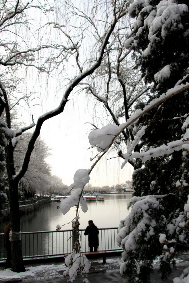 赏雪 摄影 大文豪