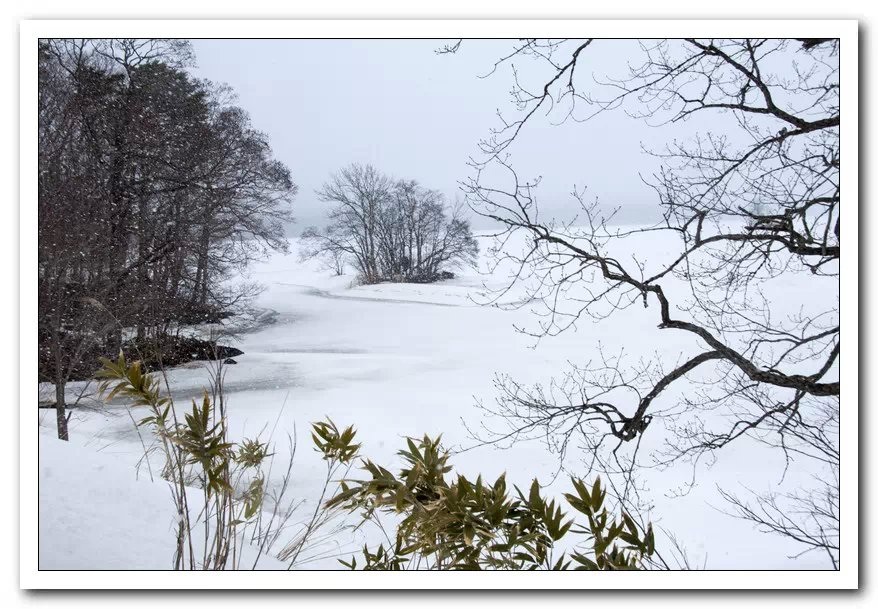 北海道雪景8 摄影 火红