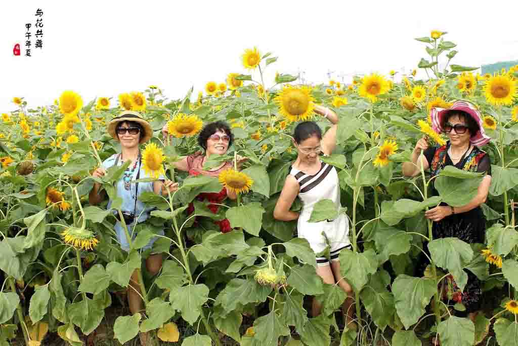 与花共舞 摄影 晚景