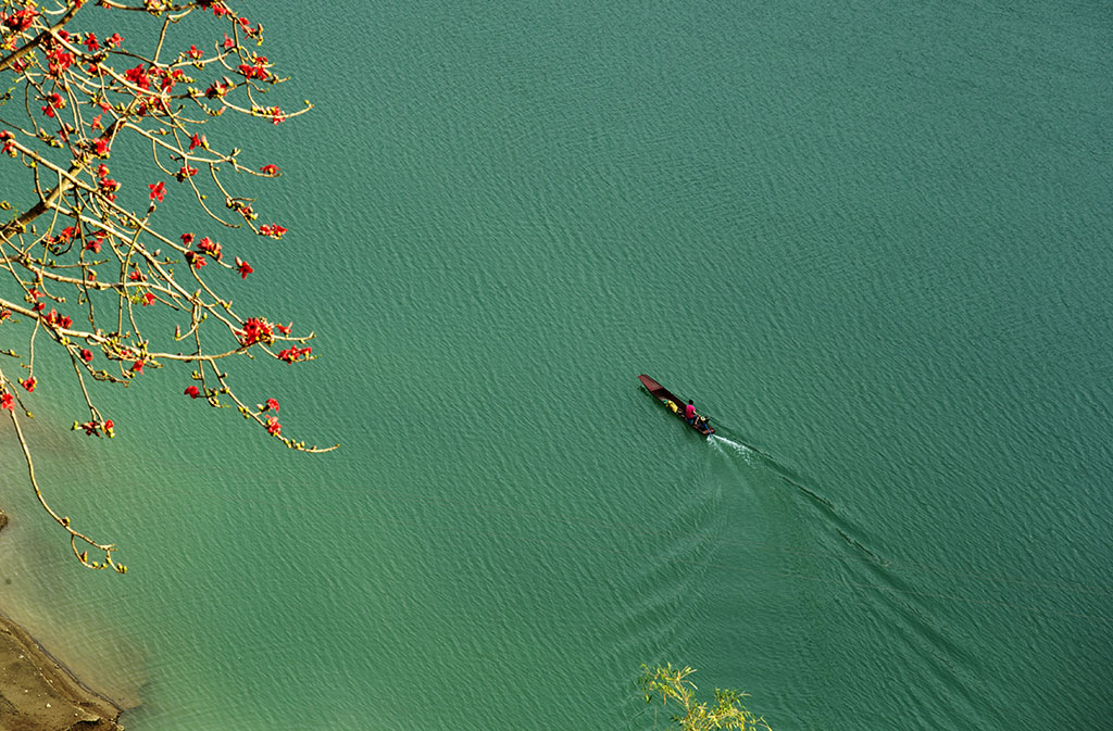 春 摄影 夏雨玫