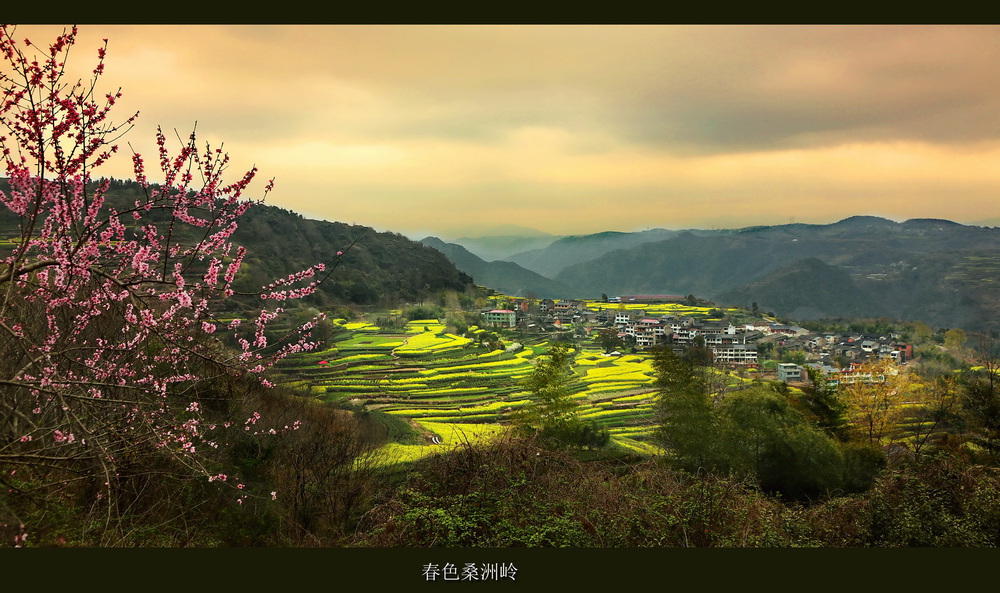 春色桑洲岭 摄影 骏恒