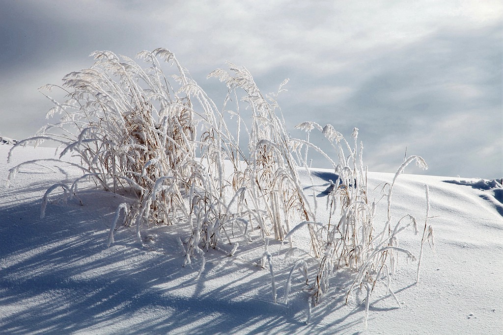 栉风沐雪 摄影 秋水孤鹜