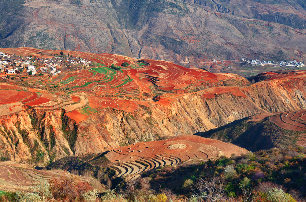 东川红土地---地画 摄影 沙弛