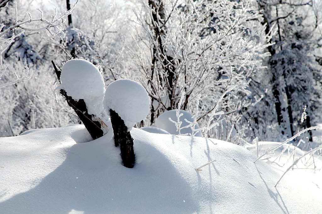 雪塑天成 摄影 秋水孤鹜